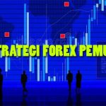 Strategi Forex untuk Pemula